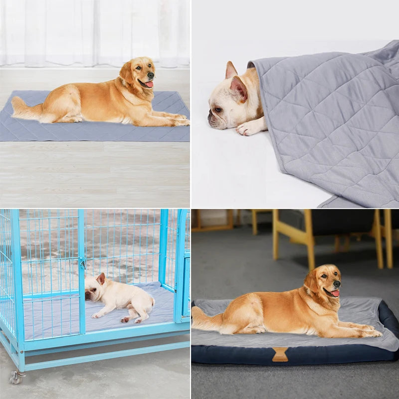 Pet Cooling Mat Pad Cushion Blanket Summer Heat Goods for Dogs Cat Cool Towels Bed Puppy Kitten Supplies Accessories Soft Carpet