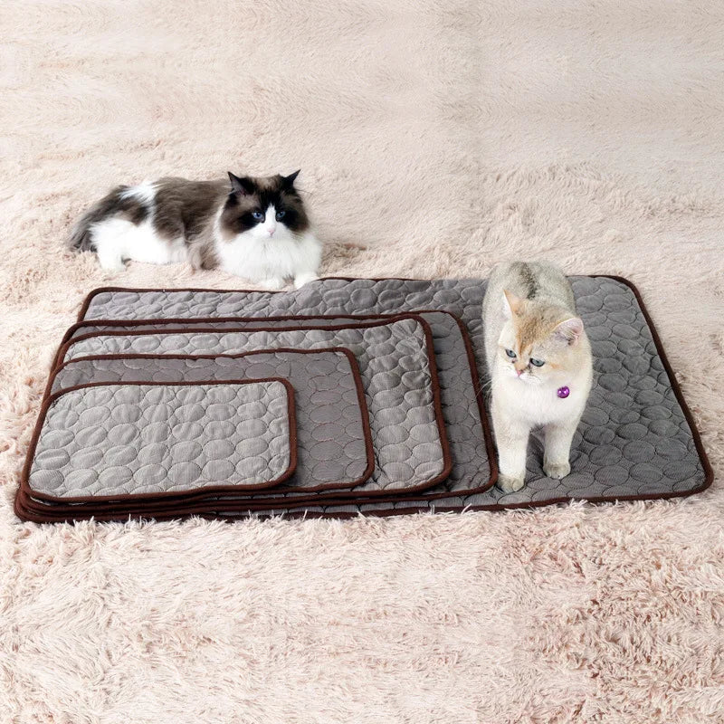 Soft Pet Cats Ice Mats Summer Use Breathable Comfortable And Cool Blankets Dog Sleepping Car Home Accessories Pet Products Drop